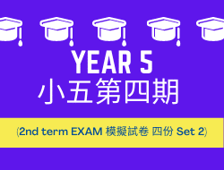 小五第四期 (2nd term exam 模擬試卷 Set 2)