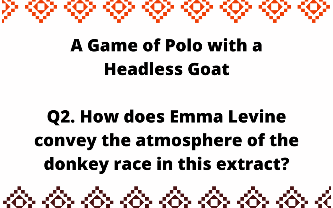 How does Emma Levine convey the atmosphere of the donkey race in this extract?