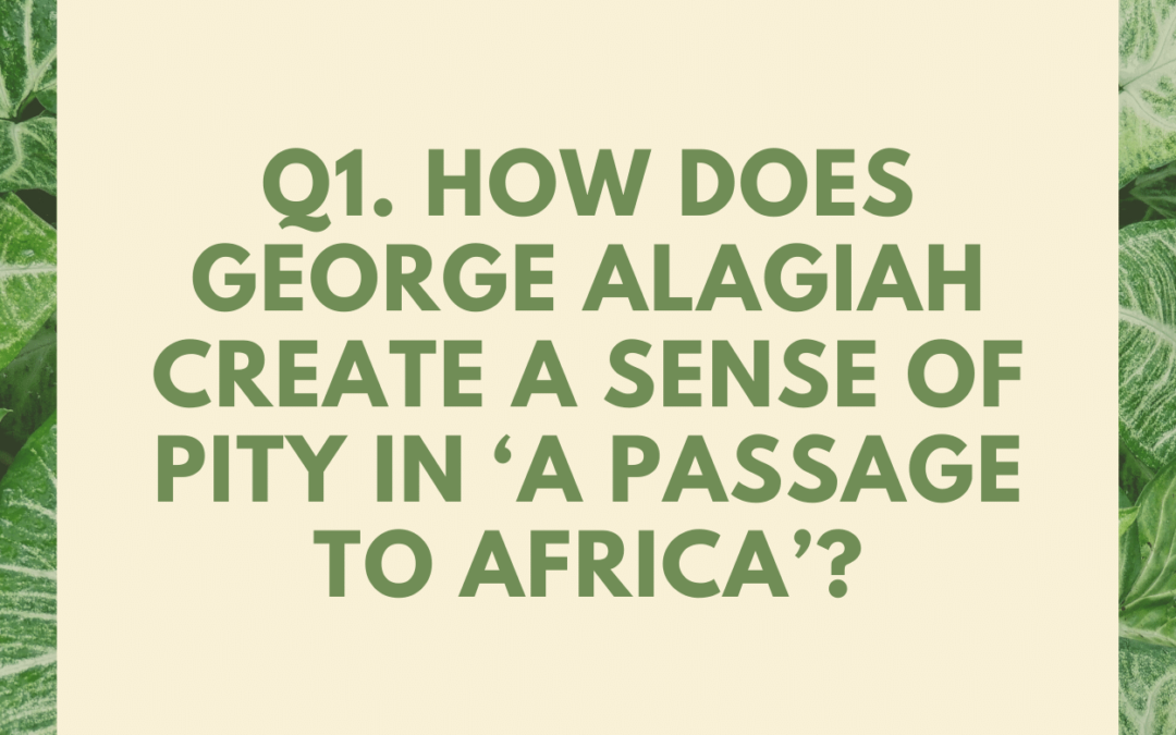 How does George Alagiah create a sense of pity in ‘A Passage to Africa’?