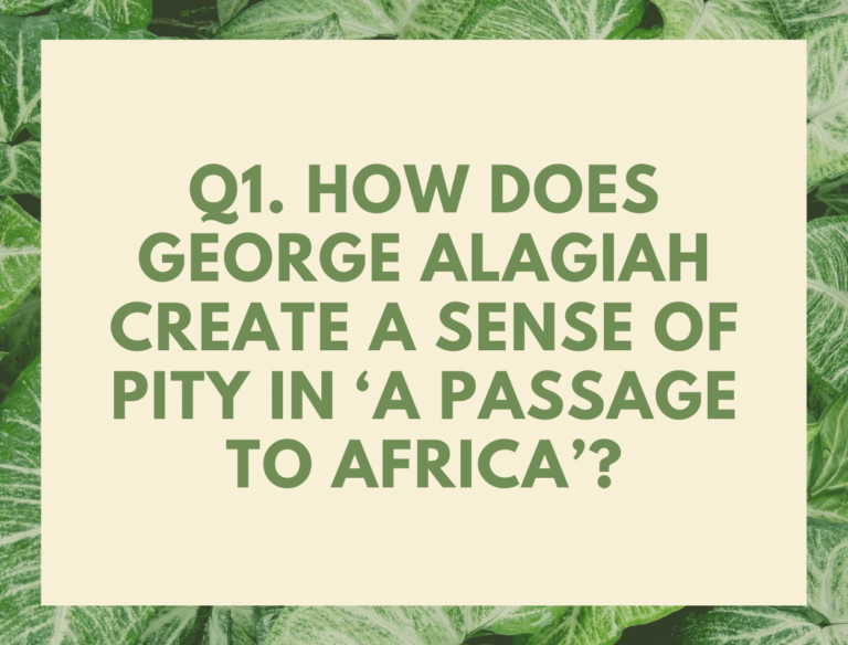 IGCSE A Passage of Africa by George Alagiah Model Essays Question 01