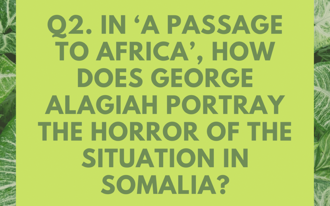 In ‘A Passage to Africa’, how does George Alagiah portray the horror of the situation in Somalia?