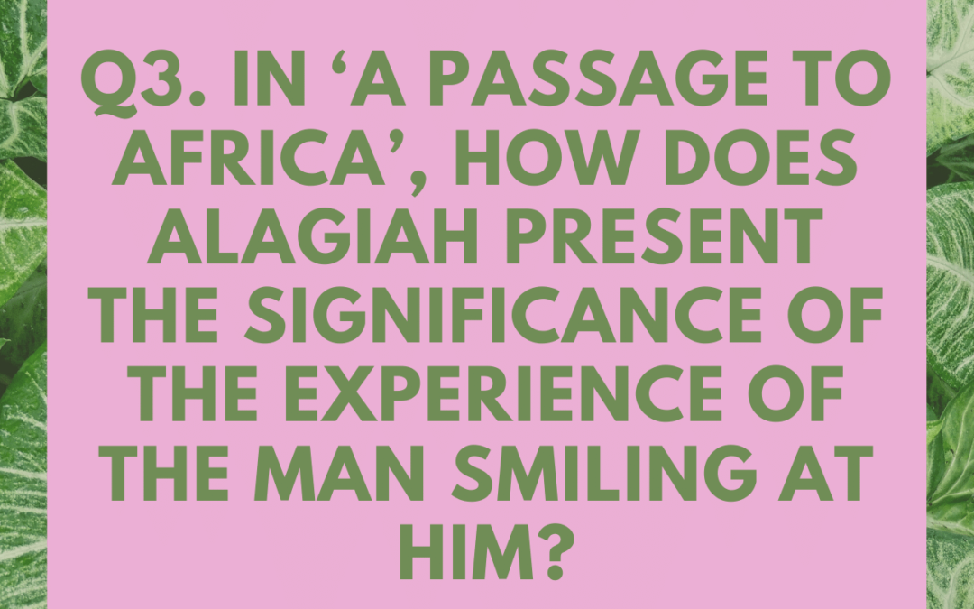 In ‘A Passage to Africa’, how does Alagiah present the significance of the experience of the man smiling at him?
