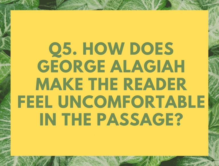 IGCSE A Passage of Africa by George Alagiah Model Essays Question 05