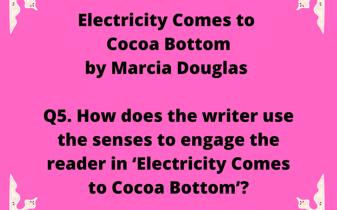 How does the writer use the senses to engage the reader in ‘Electricity Comes to Cocoa Bottom’?