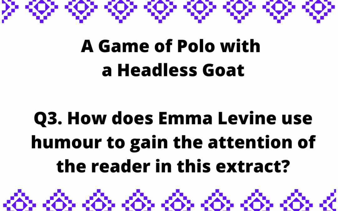 03 IGCSE Set 2 A Game of Polo with a Headless Goat  by Emma Levine Model Essays Question 3