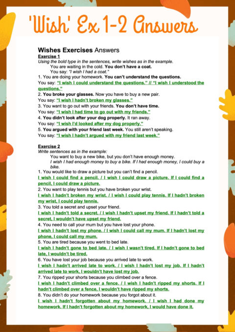 How To Use wish Wish If Only Exercises And Video Explanations 