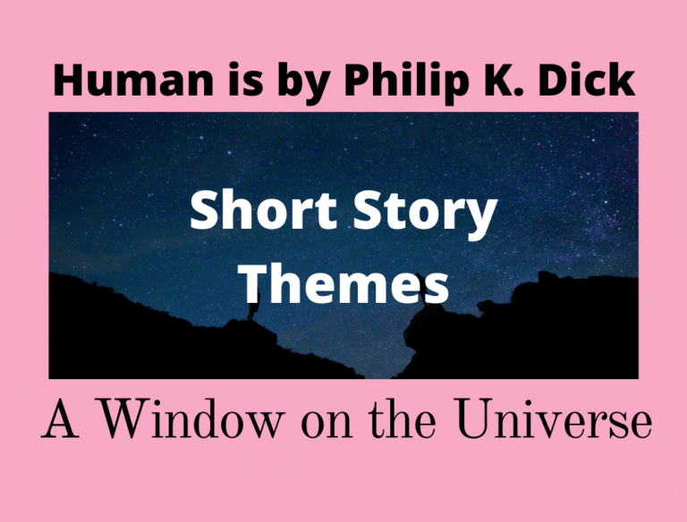 Human Is A Window on the Universe