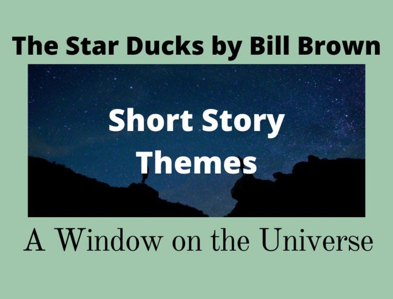 The Star Ducks A Window on the Universe